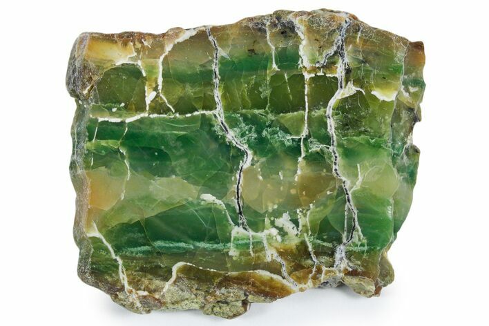Polished Green-White Opal Slab - Western Australia #353737